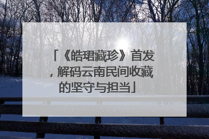 《皓珺藏珍》首发，解码云南民间收藏的坚守与担当