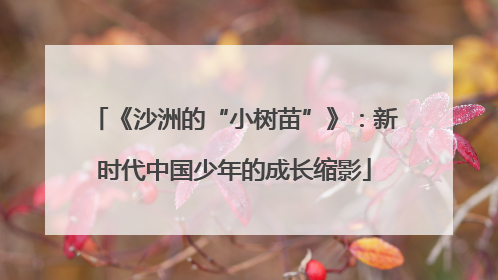 《沙洲的“小树苗”》：新时代中国少年的成长缩影