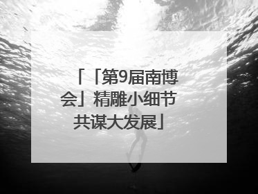 「第9届南博会」精雕小细节共谋大发展