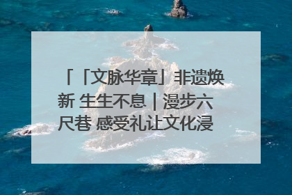 「文脉华章」非遗焕新 生生不息｜漫步六尺巷 感受礼让文化浸润的“巷”往生活