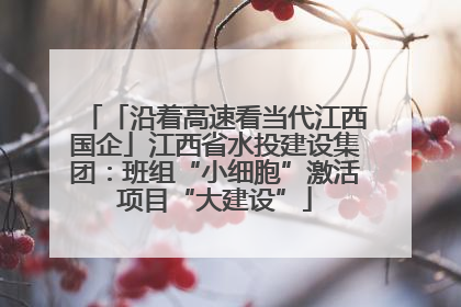 「沿着高速看当代江西国企」江西省水投建设集团：班组“小细胞”激活项目“大建设”