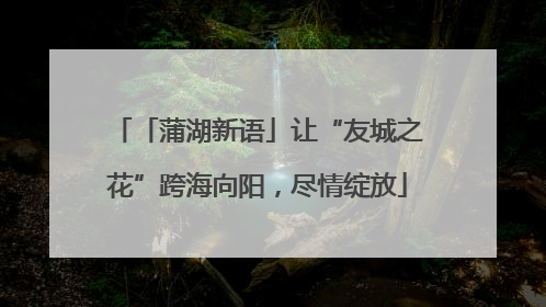 「蒲湖新语」让“友城之花”跨海向阳，尽情绽放