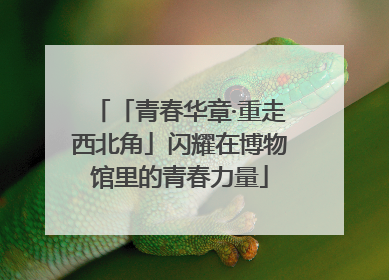 「青春华章·重走西北角」闪耀在博物馆里的青春力量