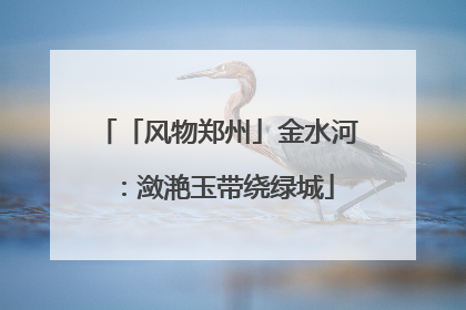 「风物郑州」金水河：潋滟玉带绕绿城