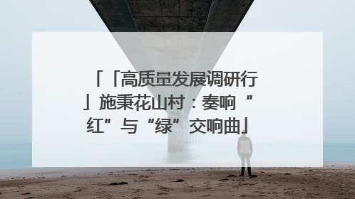 「高质量发展调研行」施秉花山村：奏响“红”与“绿”交响曲