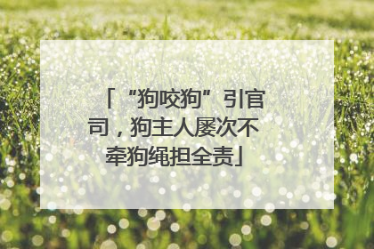 “狗咬狗”引官司，狗主人屡次不牵狗绳担全责