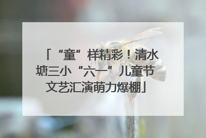 “童”样精彩！清水塘三小“六一”儿童节文艺汇演萌力爆棚