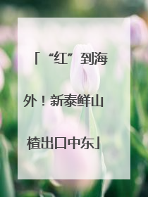 “红”到海外！新泰鲜山楂出口中东