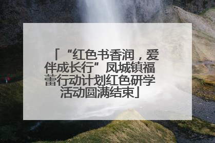 “红色书香润，爱伴成长行”凤城镇福蕾行动计划红色研学活动圆满结束