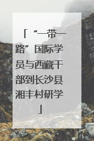 “一带一路”国际学员与西藏干部到长沙县湘丰村研学