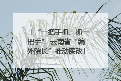 “一把手抓、抓一把手” 云南省“编外院长”推动医改