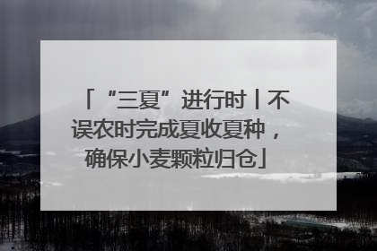 “三夏”进行时丨不误农时完成夏收夏种，确保小麦颗粒归仓