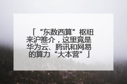 “东数西算”枢纽来沪推介，这里竟是华为云、腾讯和网易的算力“大本营”