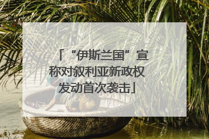 “伊斯兰国”宣称对叙利亚新政权发动首次袭击