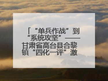 “单兵作战”到“系统攻坚”——甘肃省高台县合黎镇“四化一评”激活农村党员管理新引擎