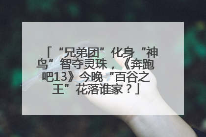 “兄弟团”化身“神鸟”智夺灵珠，《奔跑吧13》今晚“百谷之王”花落谁家？