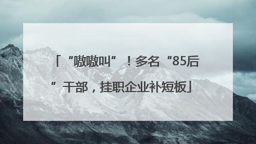 “嗷嗷叫”！多名“85后”干部，挂职企业补短板