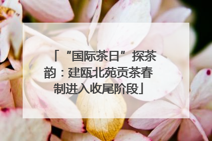 “国际茶日”探茶韵：建瓯北苑贡茶春制进入收尾阶段
