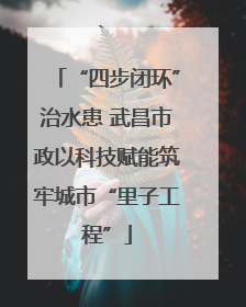 “四步闭环”治水患 武昌市政以科技赋能筑牢城市“里子工程”