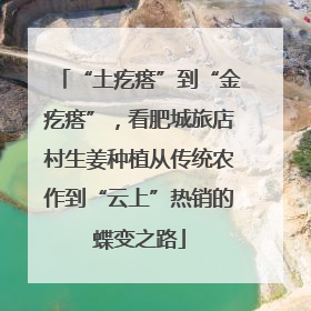 “土疙瘩”到“金疙瘩”，看肥城旅店村生姜种植从传统农作到“云上”热销的蝶变之路
