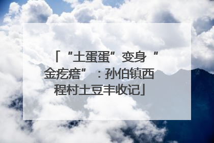 “土蛋蛋”变身“金疙瘩”：孙伯镇西程村土豆丰收记