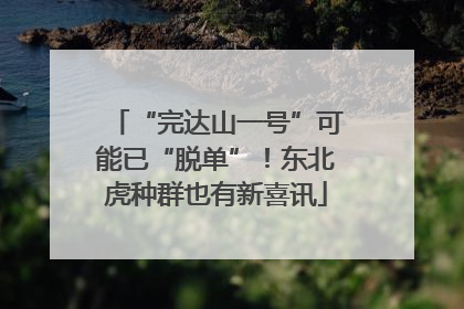 “完达山一号”可能已“脱单”！东北虎种群也有新喜讯