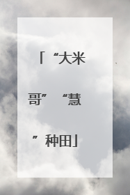 “大米哥”“慧”种田