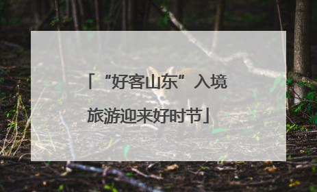 “好客山东”入境旅游迎来好时节