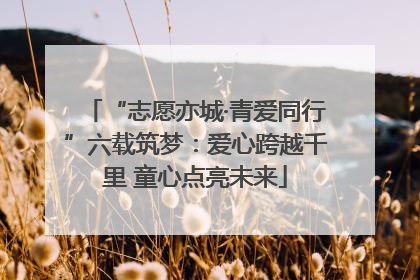 “志愿亦城·青爱同行”六载筑梦：爱心跨越千里 童心点亮未来