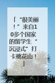 “很美丽！”来自10多个国家的留学生“沉浸式”打卡桃花山！