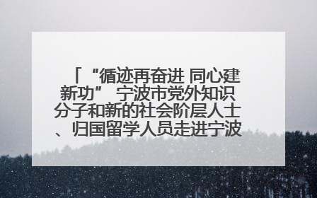 “循迹再奋进 同心建新功” 宁波市党外知识分子和新的社会阶层人士、归国留学人员走进宁波舟山港穿山港区