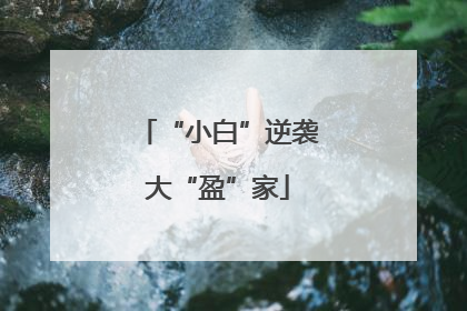 “小白”逆袭大“盈”家