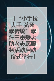 “小手拉大手 弘扬孝传统”孝行三秦爱老助老志愿服务活动启动仪式举行