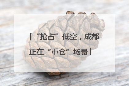 “抢占”低空，成都正在“重仓”场景