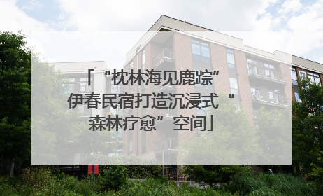 “枕林海见鹿踪” 伊春民宿打造沉浸式“森林疗愈”空间