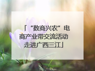“数商兴农”电商产业带交流活动走进广西三江
