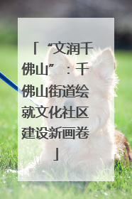 “文润千佛山”：千佛山街道绘就文化社区建设新画卷