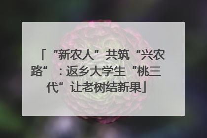 “新农人”共筑“兴农路”：返乡大学生“桃三代”让老树结新果