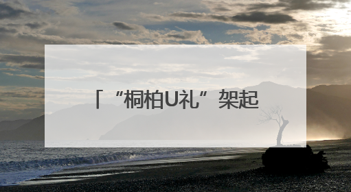 “桐柏U礼”架起助农金桥 “朱砂红桃”绘就振兴图景