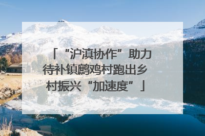“沪滇协作”助力待补镇鹧鸡村跑出乡村振兴“加速度”