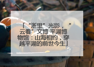 “浙里”光影，“云看”文博 平湖博物馆：山海相约，穿越平湖的前世今生