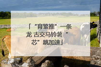 “育繁推”一条龙 古交马铃薯“芯”跳加速