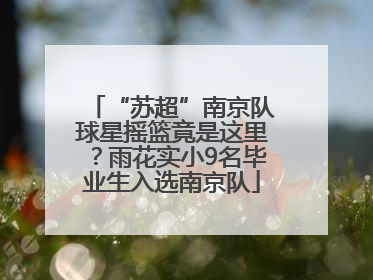 “苏超”南京队球星摇篮竟是这里？雨花实小9名毕业生入选南京队
