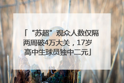 “苏超”观众人数仅隔两周破4万大关，17岁高中生球员独中二元
