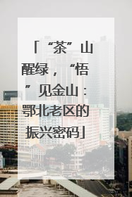 “茶”山醒绿，“悟”见金山：鄂北老区的振兴密码