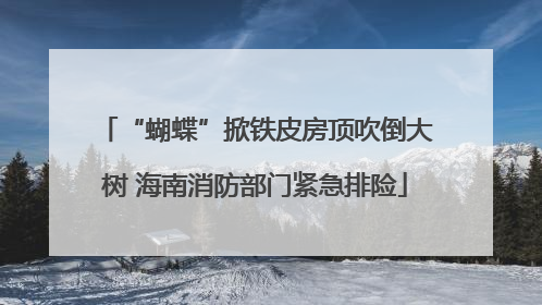 “蝴蝶”掀铁皮房顶吹倒大树 海南消防部门紧急排险