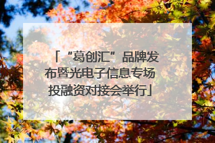 “葛创汇”品牌发布暨光电子信息专场投融资对接会举行
