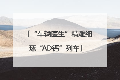 “车辆医生”精雕细琢“AD钙”列车