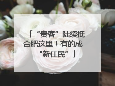 “贵客”陆续抵合肥这里！有的成“新住民”