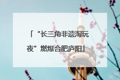 “长三角非遗淘玩夜”燃爆合肥庐阳